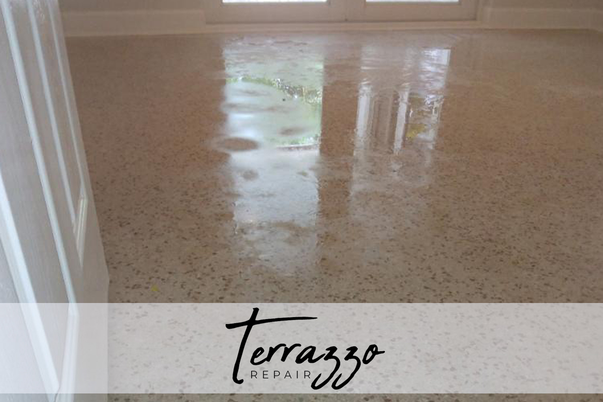 Care Cleaning Terrazzo Floors Miami