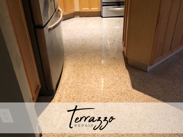 Terrazzo Floor Polishing Service Miami